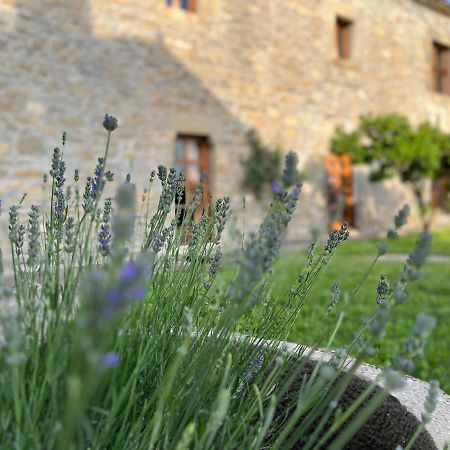 Affittacamere La Abadia Coscojuela de Sobrarbe Esterno foto