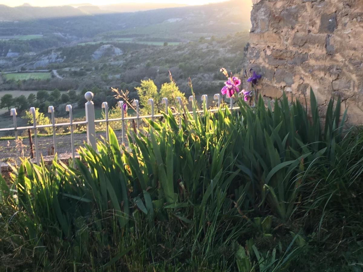 Affittacamere La Abadia Coscojuela de Sobrarbe Esterno foto
