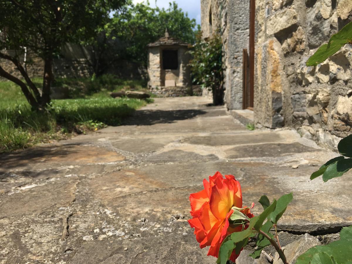 Affittacamere La Abadia Coscojuela de Sobrarbe Esterno foto